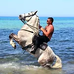 Nocleg ze śniadaniem Al Cantuccio Castelluzzo