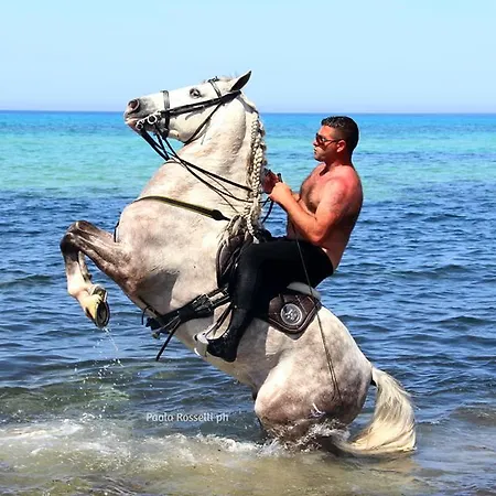 住宿加早餐酒店 Al Cantuccio 卡斯泰卢佐