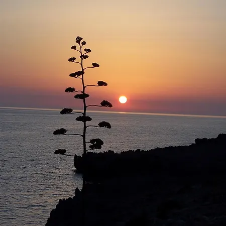 Al Cantuccio Castelluzzo