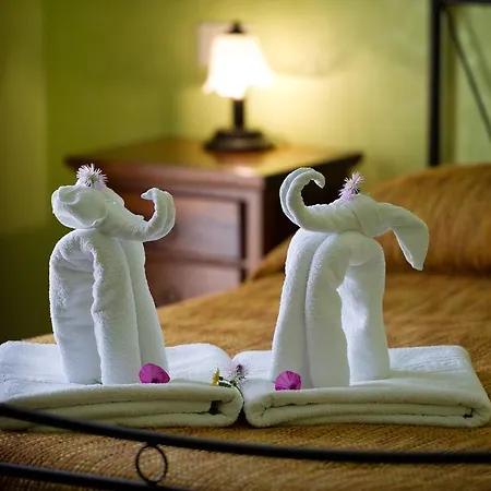 Al Cantuccio Castelluzzo